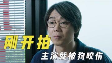 娱乐场吃瓜君,揭秘娱乐圈那些不为人知的幕后故事