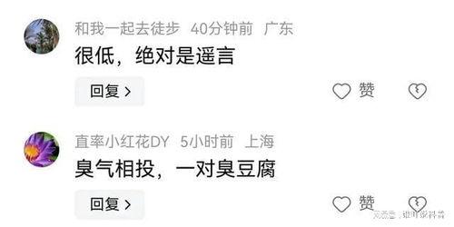 娱乐吃瓜主播真假,真假难辨的幕后真相