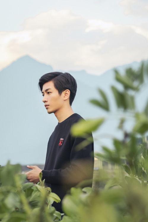 娱乐圈吃瓜陈晓是谁