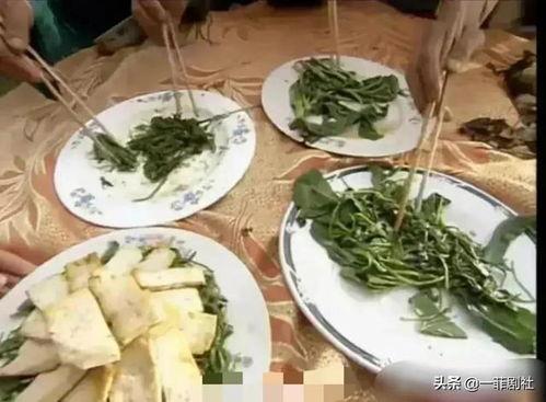 吃瓜星娱乐餐厅,美食与娱乐的完美融合