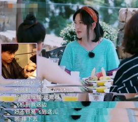 娱乐吃瓜酱浪漫式陷阱,娱乐吃瓜酱揭秘娱乐圈甜蜜背后的心酸真相