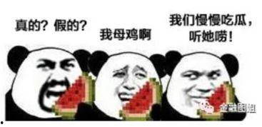 娱乐吃瓜酱打电话