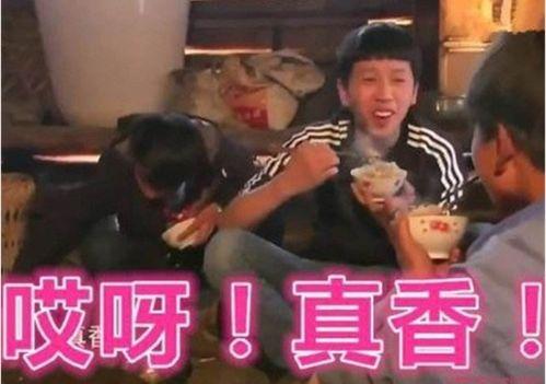 娱乐吃瓜酱没有那么惨,揭秘“没有那么惨”背后的真相与反思