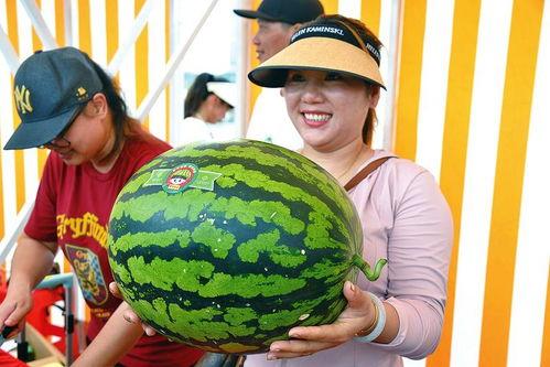 娱乐吃瓜区,揭秘明星幕后故事与精彩瞬间