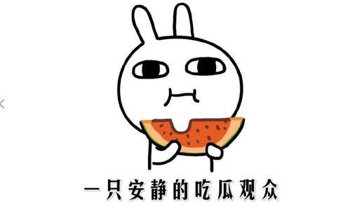 娱乐吃瓜酱省钱攻略,轻松hold住生活开销